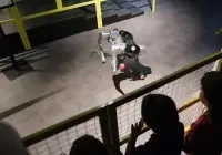 Istanbul Robot Museum - Gallery 1